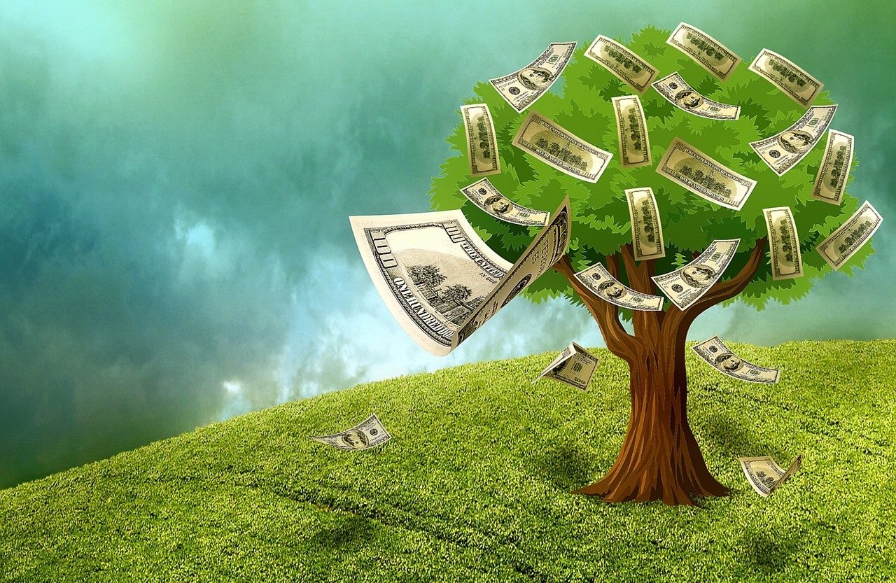 money on tress